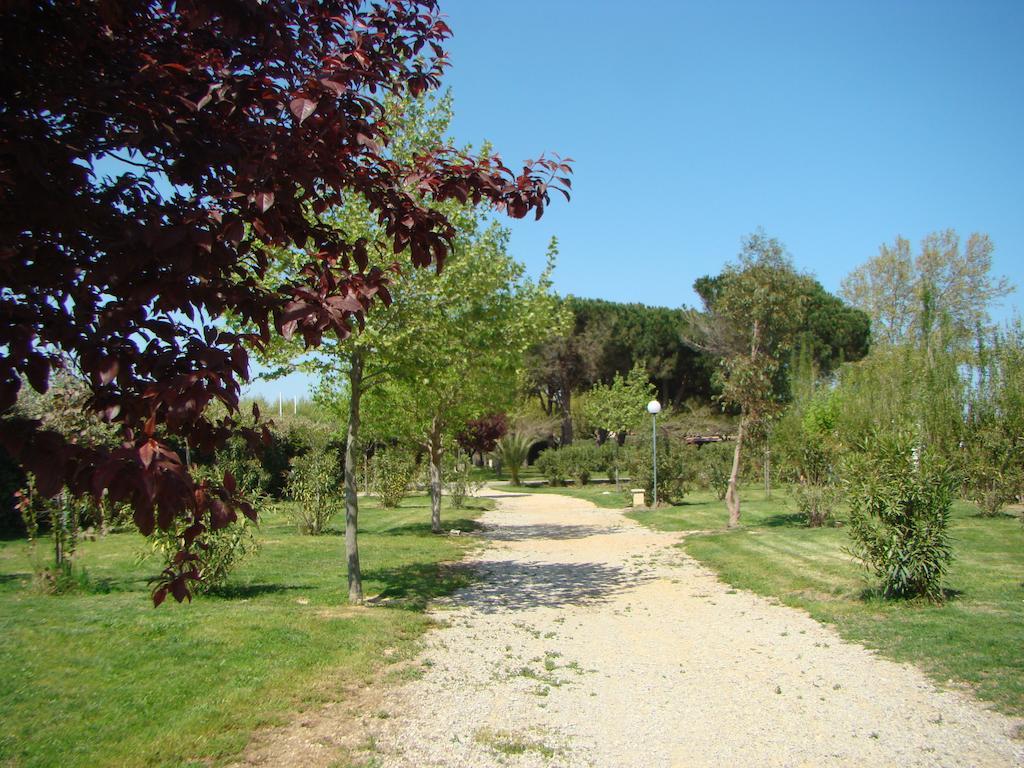 Camping Cap Sud Alénya Exteriér fotografie